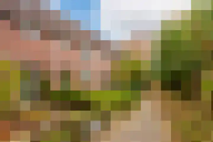 Marmotweide 11 Nieuwegein thumbnail 33