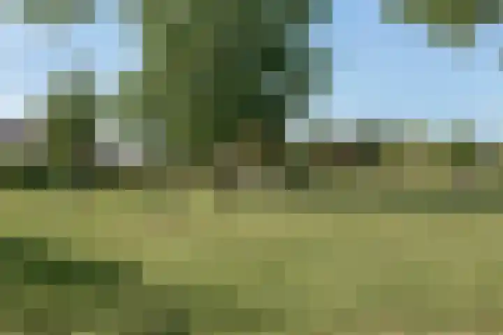 Marmotweide 11 Nieuwegein thumbnail 38