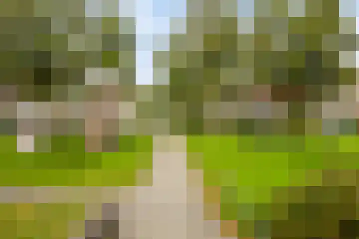 Marmotweide 11 Nieuwegein thumbnail 40