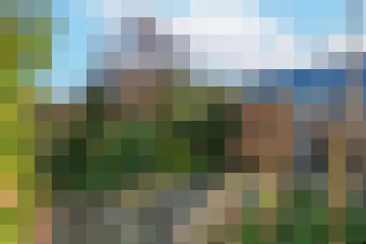 Marmotweide 15 Nieuwegein thumbnail 12