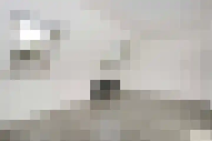 Marmotweide 15 Nieuwegein thumbnail 18