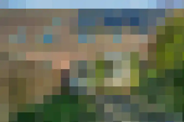 Marmotweide 15 Nieuwegein thumbnail 9
