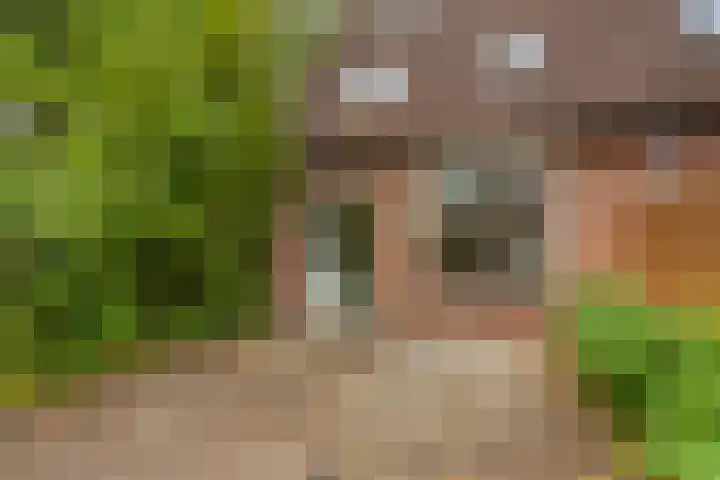 Marmotweide 19 Nieuwegein thumbnail 11