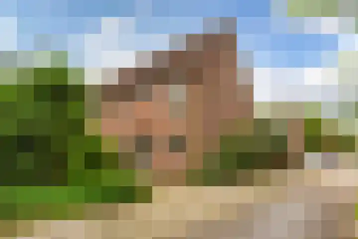 Marmotweide 19 Nieuwegein thumbnail 30