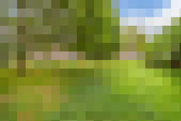 Marmotweide 19 Nieuwegein thumbnail 31