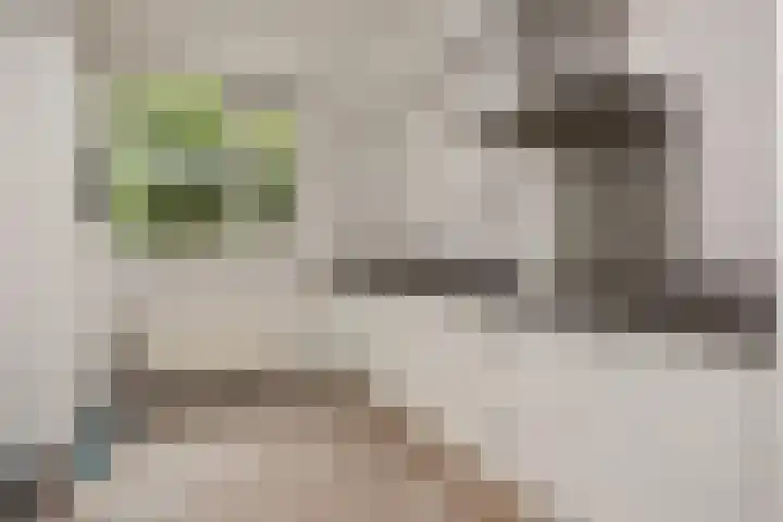 Marmotweide 19 Nieuwegein thumbnail 5