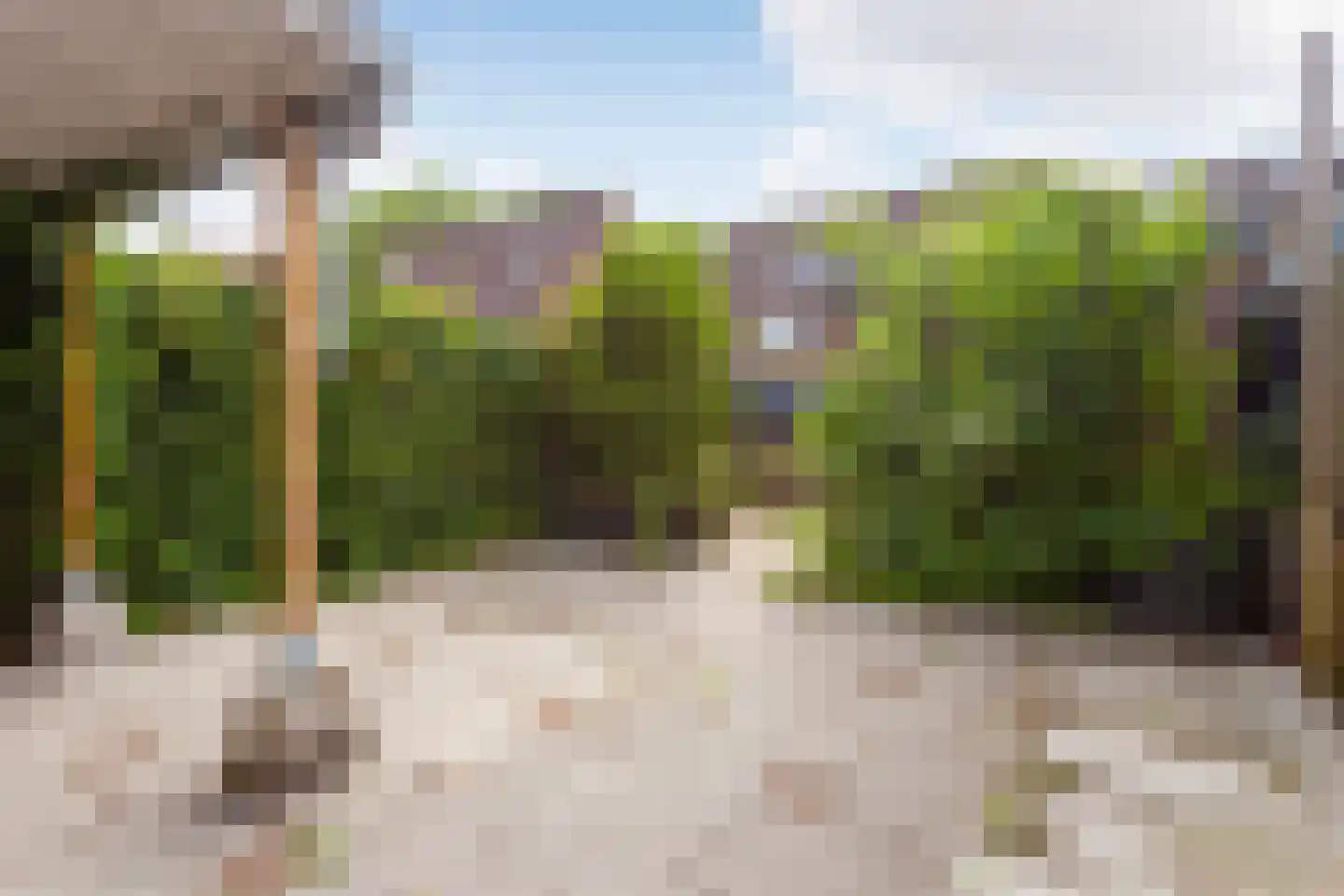 Marmotweide 9 Nieuwegein thumbnail 17