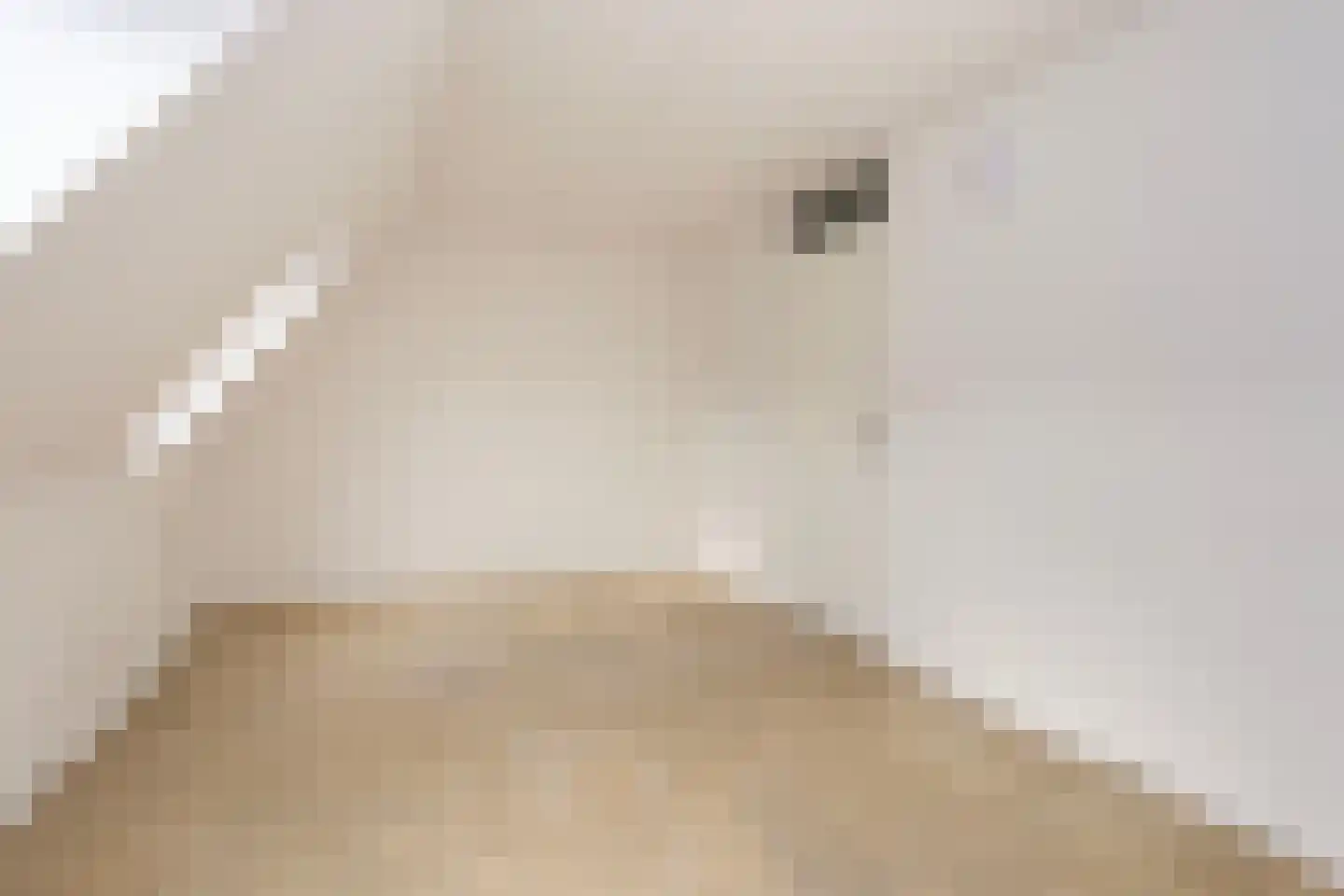 Marmotweide 9 Nieuwegein thumbnail 32