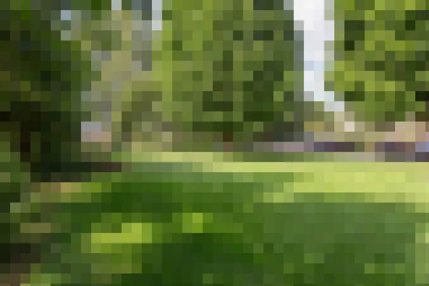 Marmotweide 9 Nieuwegein thumbnail 40