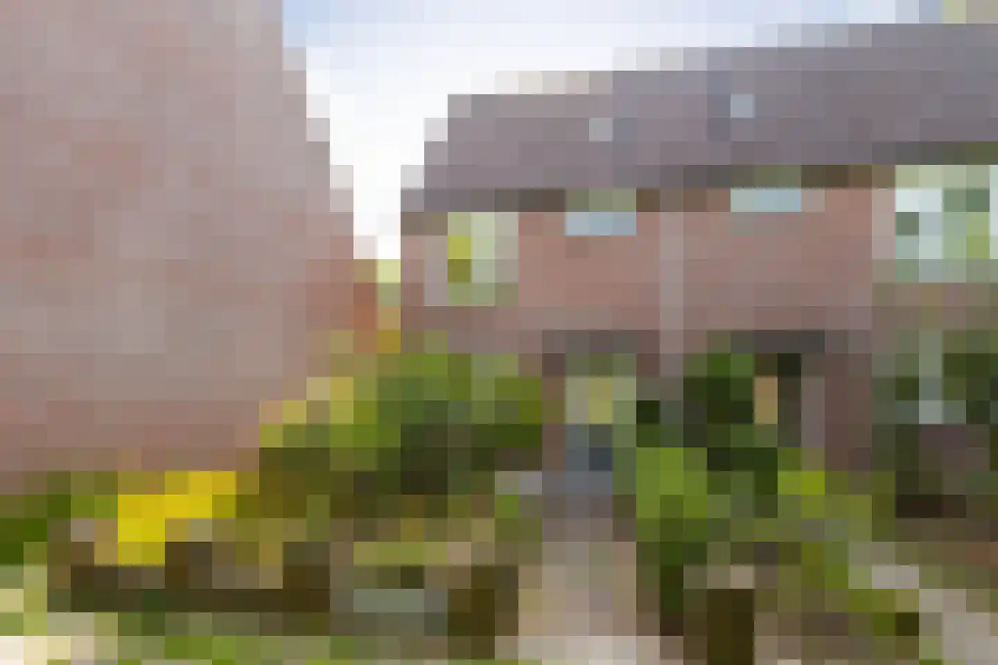 Marmotweide 9 Nieuwegein thumbnail 5
