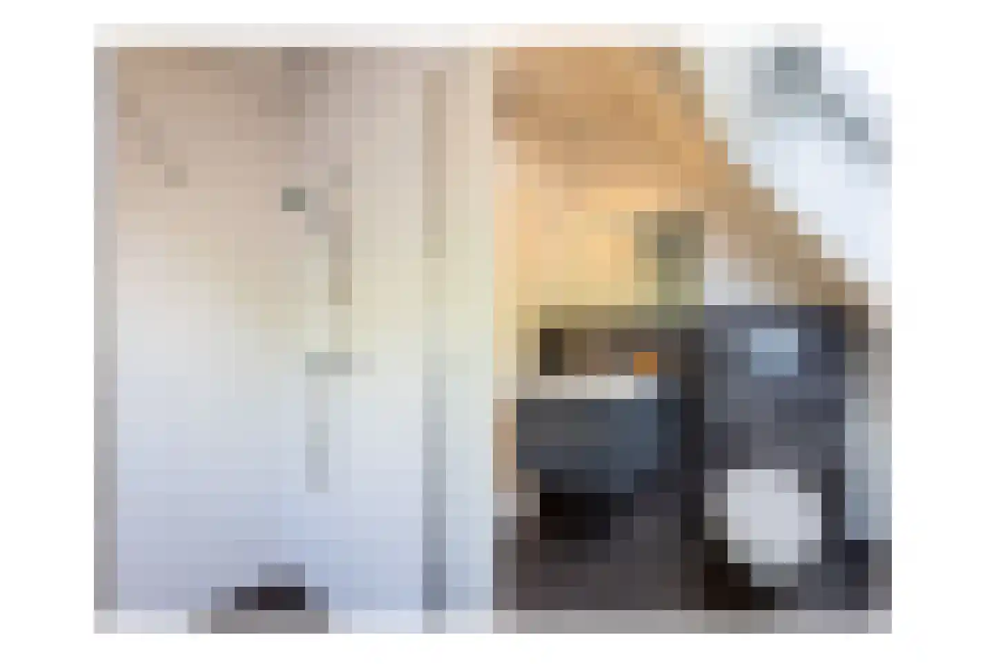 Marne 14 Bakel thumbnail 18