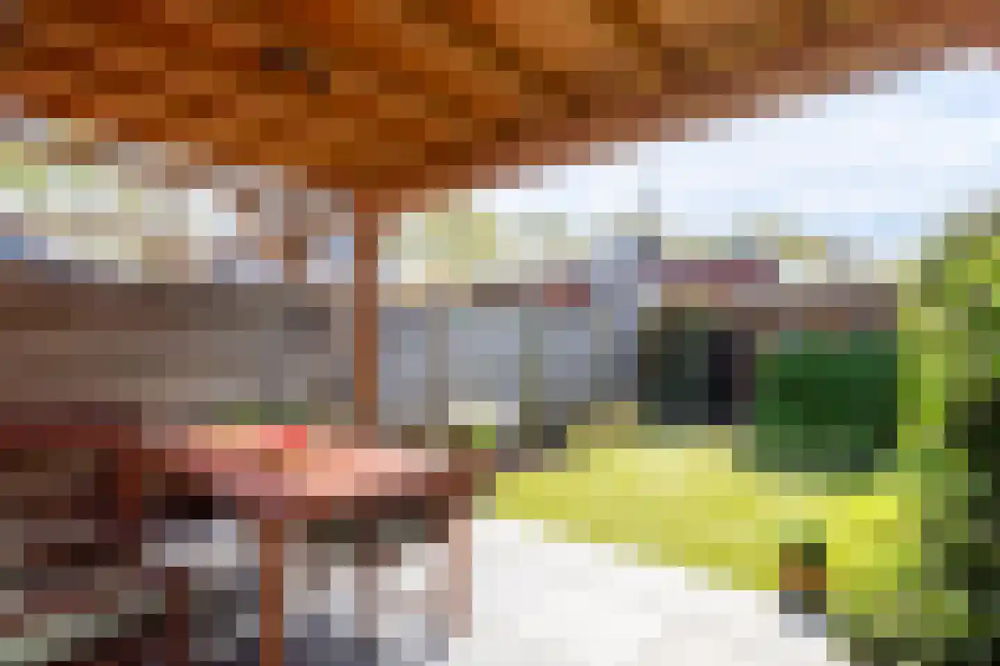 Marne 14 Bakel thumbnail 28