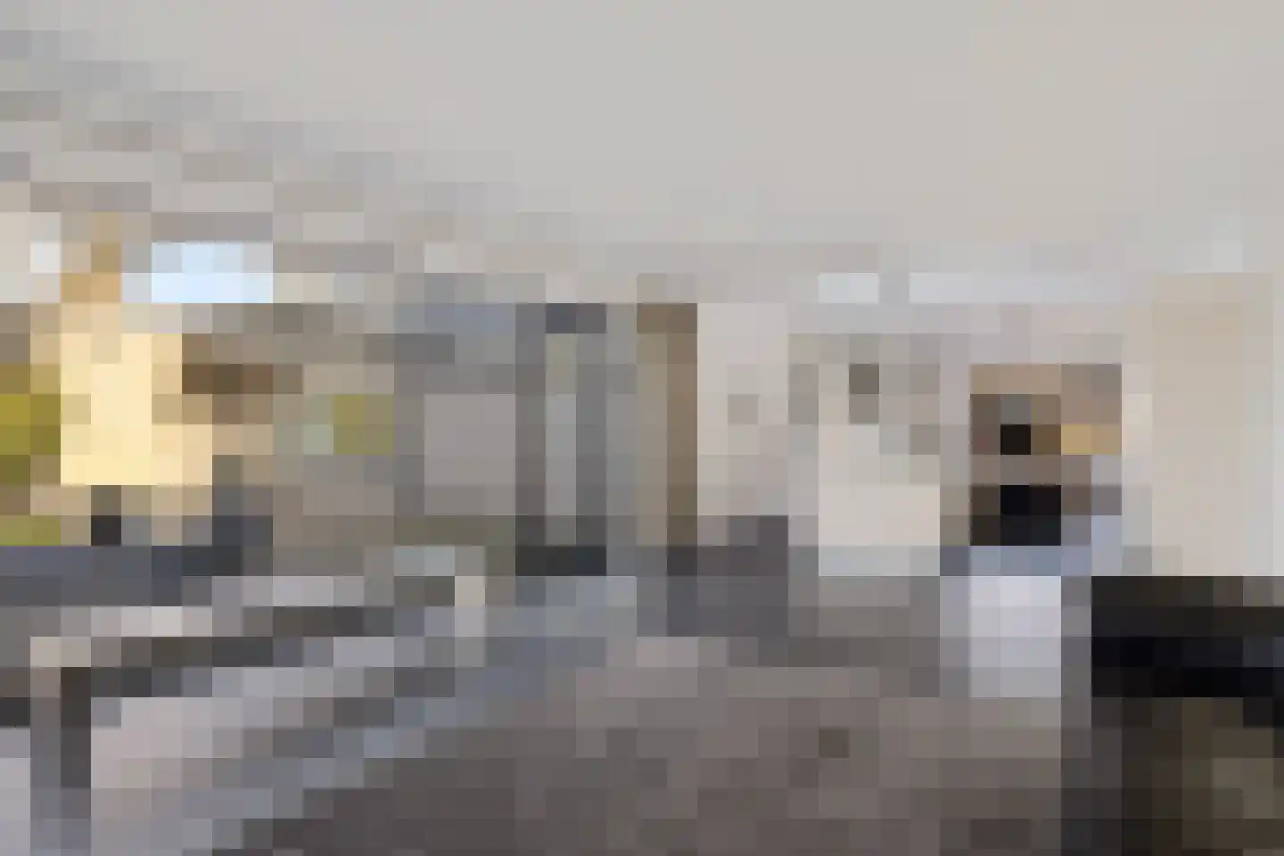 Marne 49 Drachten thumbnail 17