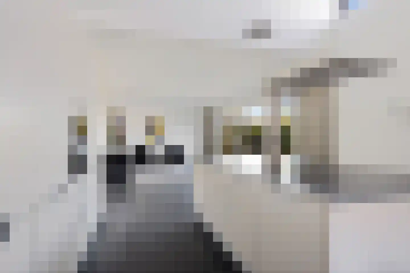 Marne 49 Drachten thumbnail 19