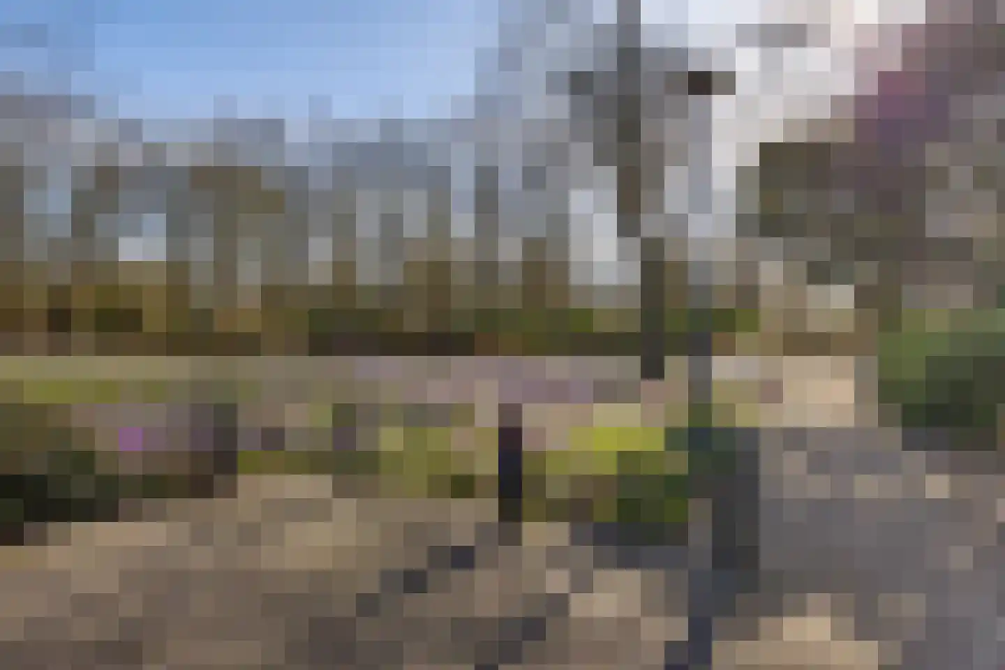 Marne 49 Drachten thumbnail 7