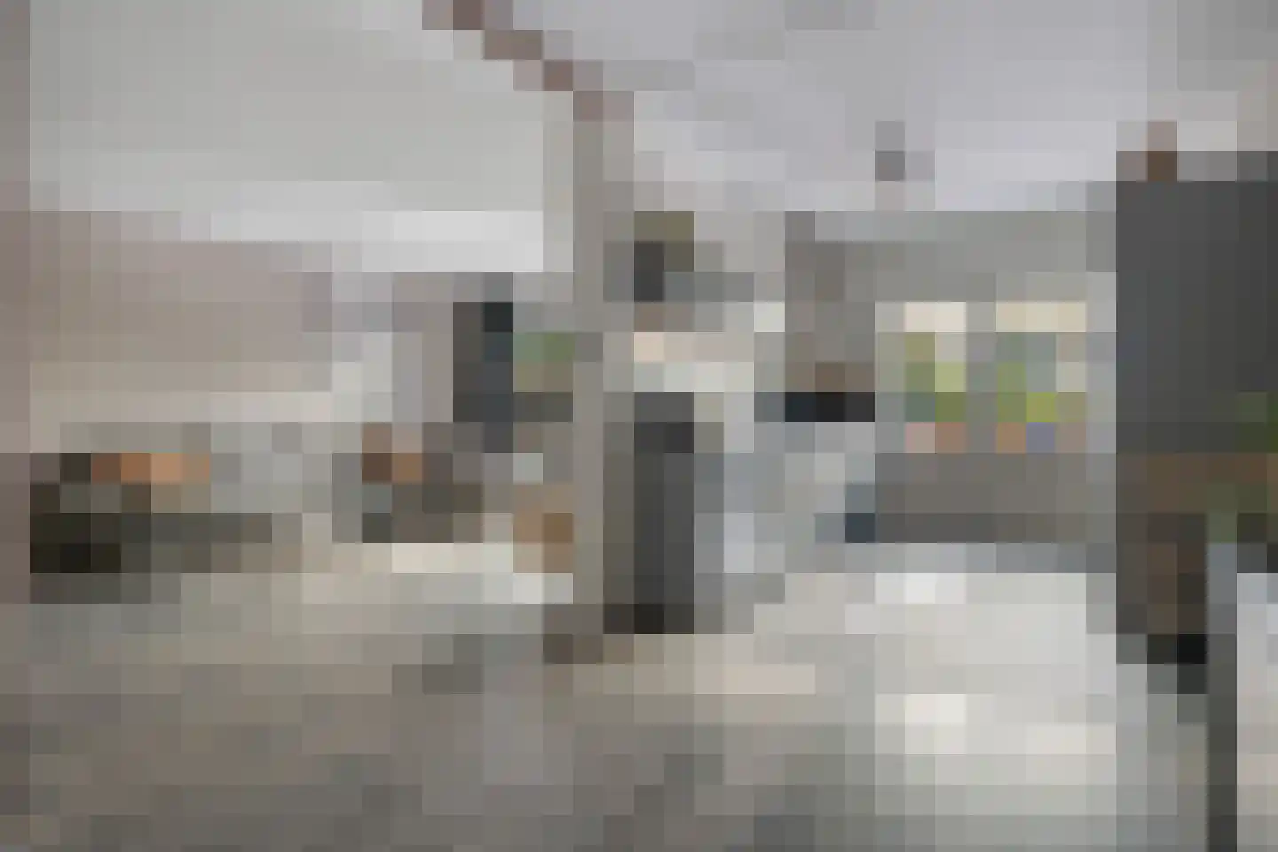Marne 51 Veendam thumbnail 10