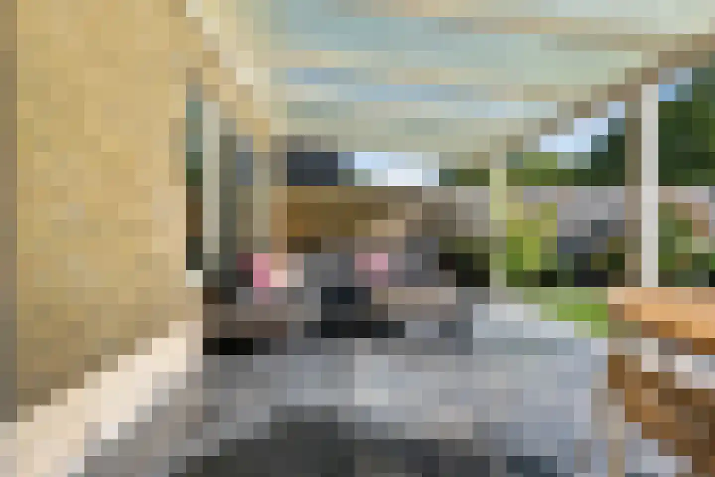 Marne 51 Veendam thumbnail 33