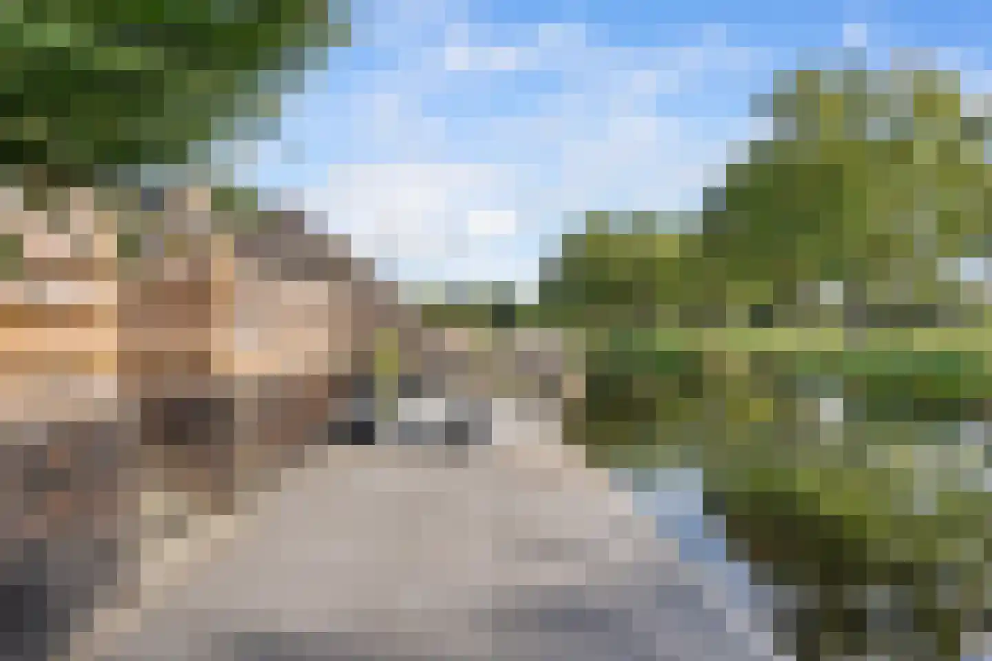 Marne 51 Veendam thumbnail 38