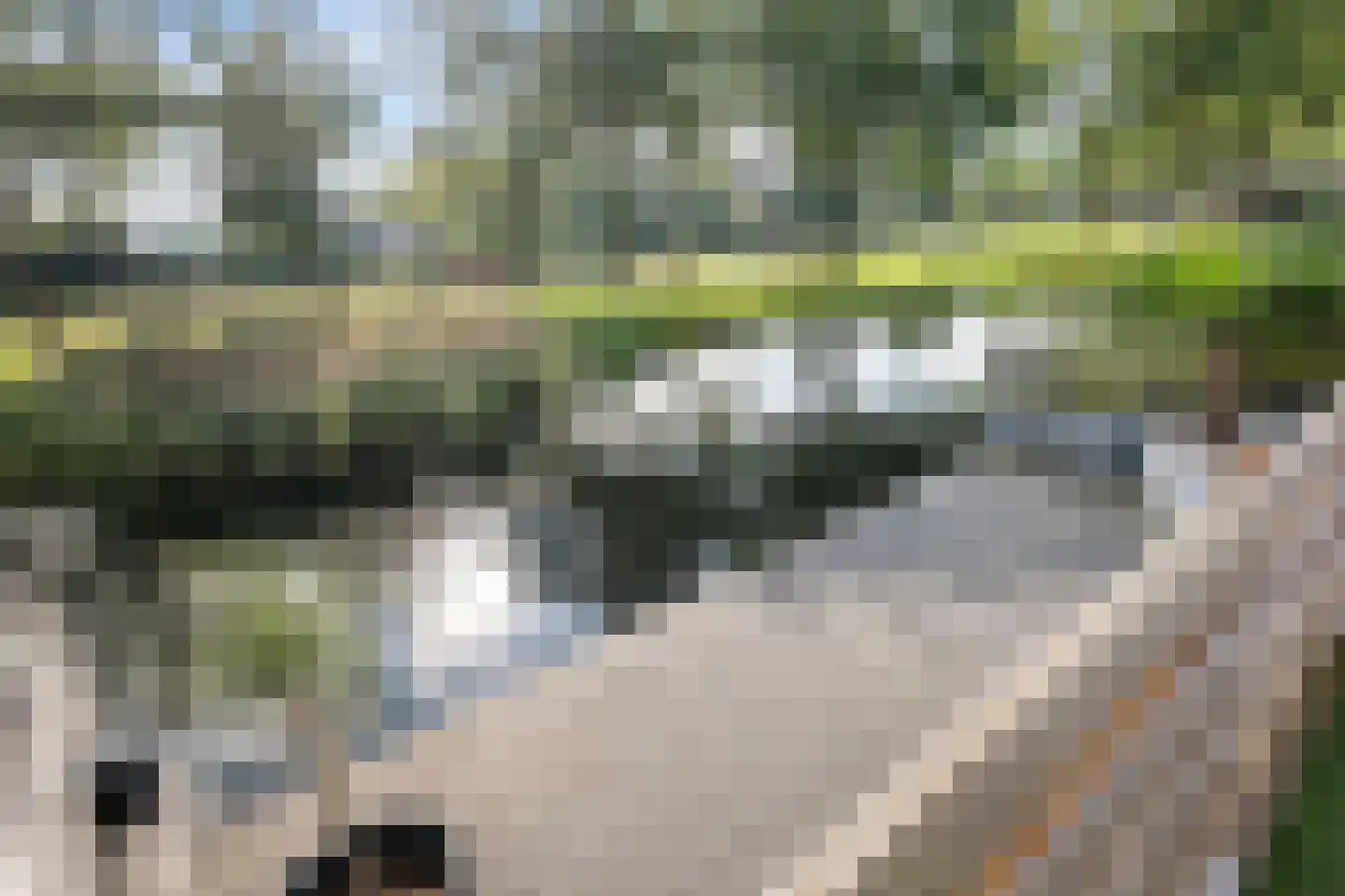 Marne 51 Veendam thumbnail 39