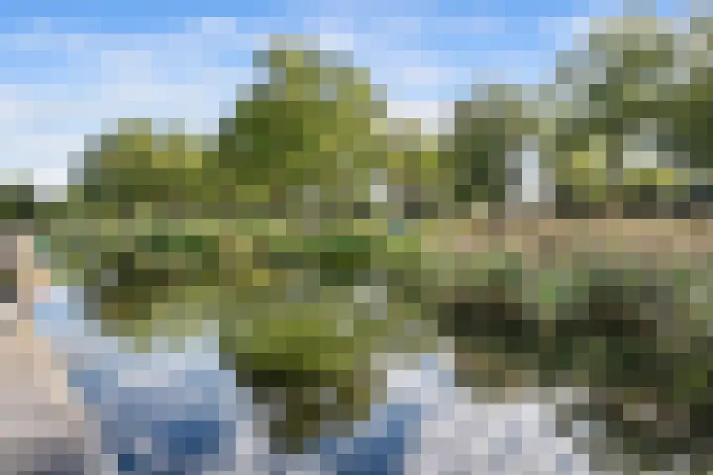 Marne 51 Veendam thumbnail 41