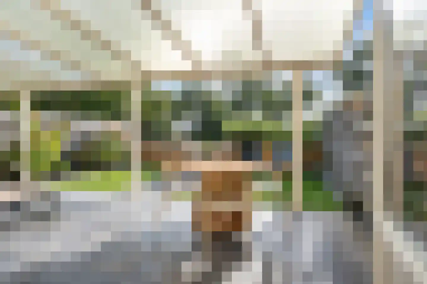 Marne 51 Veendam thumbnail 6