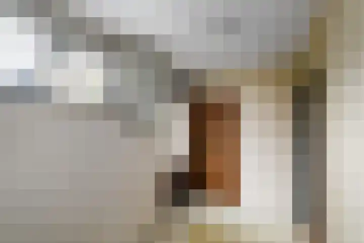 Marne 9 Drachten thumbnail 13