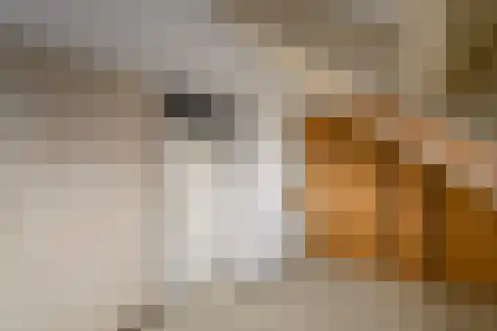 Marne 9 Drachten thumbnail 20