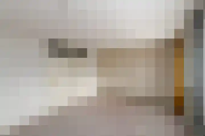 Marne 9 Drachten thumbnail 23