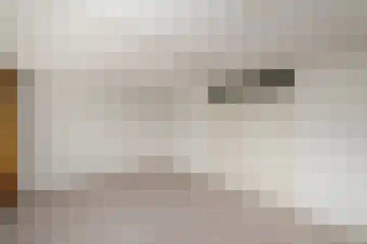 Marne 9 Drachten thumbnail 24