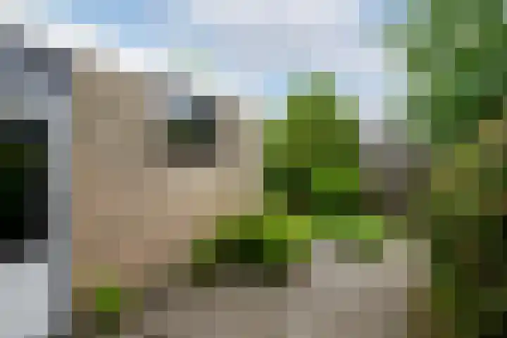 Marne 9 Drachten thumbnail 31
