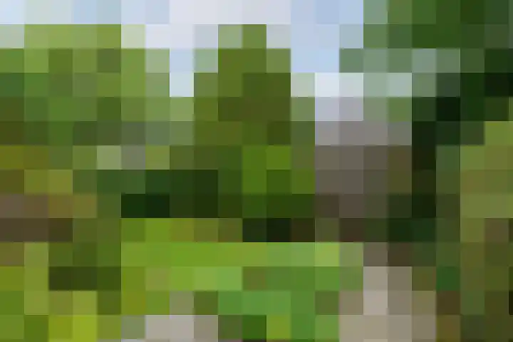 Marne 9 Drachten thumbnail 32