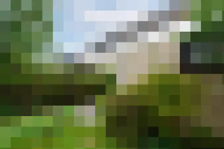 Marne 9 Drachten thumbnail 33