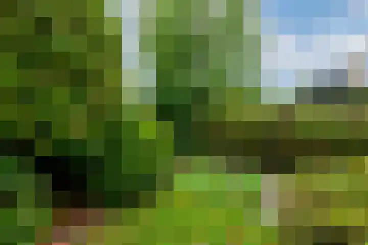 Marne 9 Drachten thumbnail 34