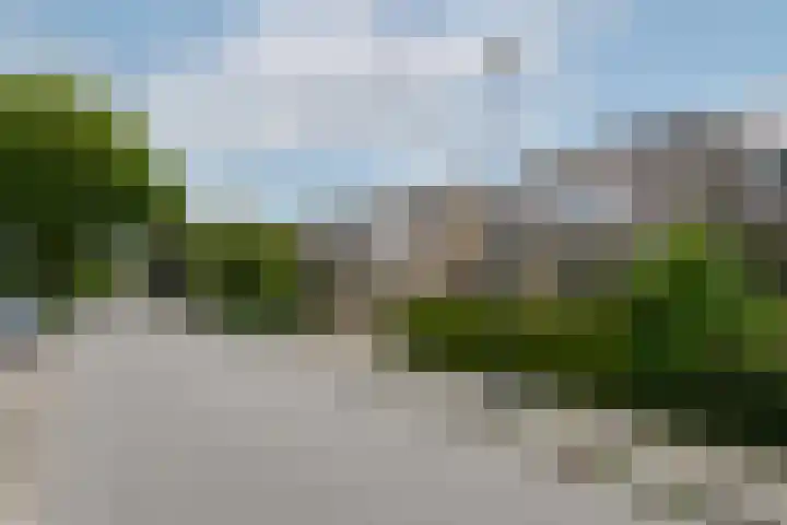 Marne 9 Drachten thumbnail 36