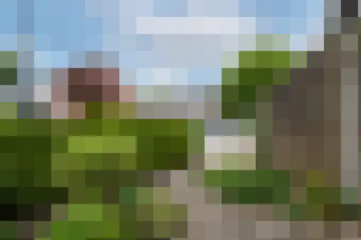 Marne 9 Drachten thumbnail 38