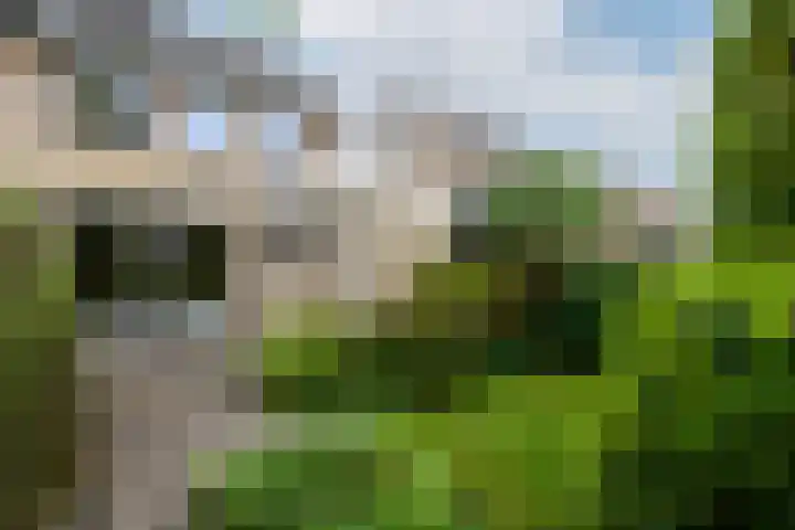 Marne 9 Drachten thumbnail 4
