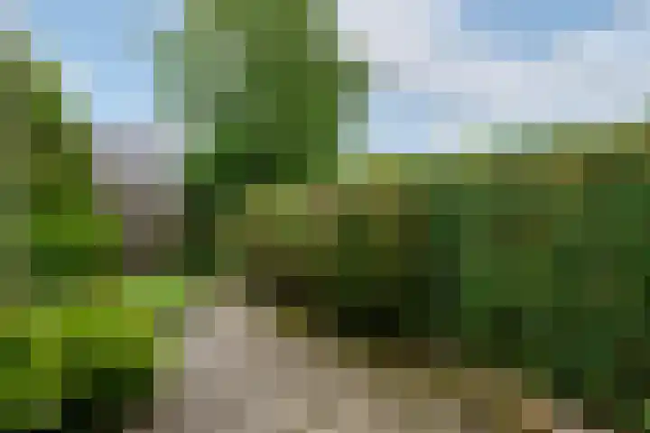 Marne 9 Drachten thumbnail 5
