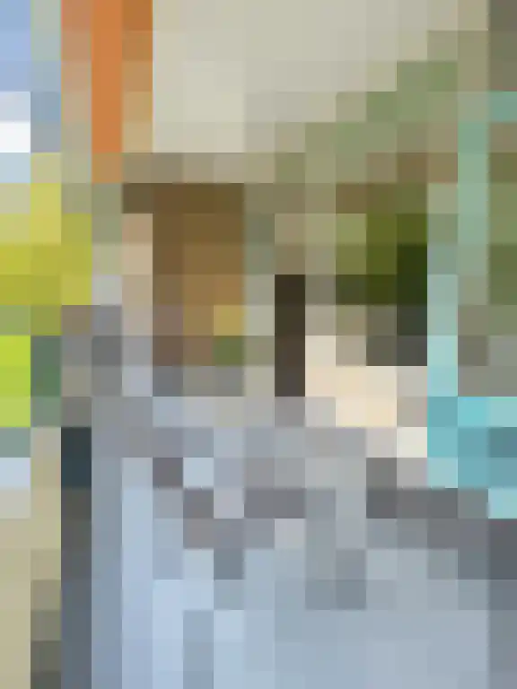 Marne 91 Amstelveen thumbnail 5
