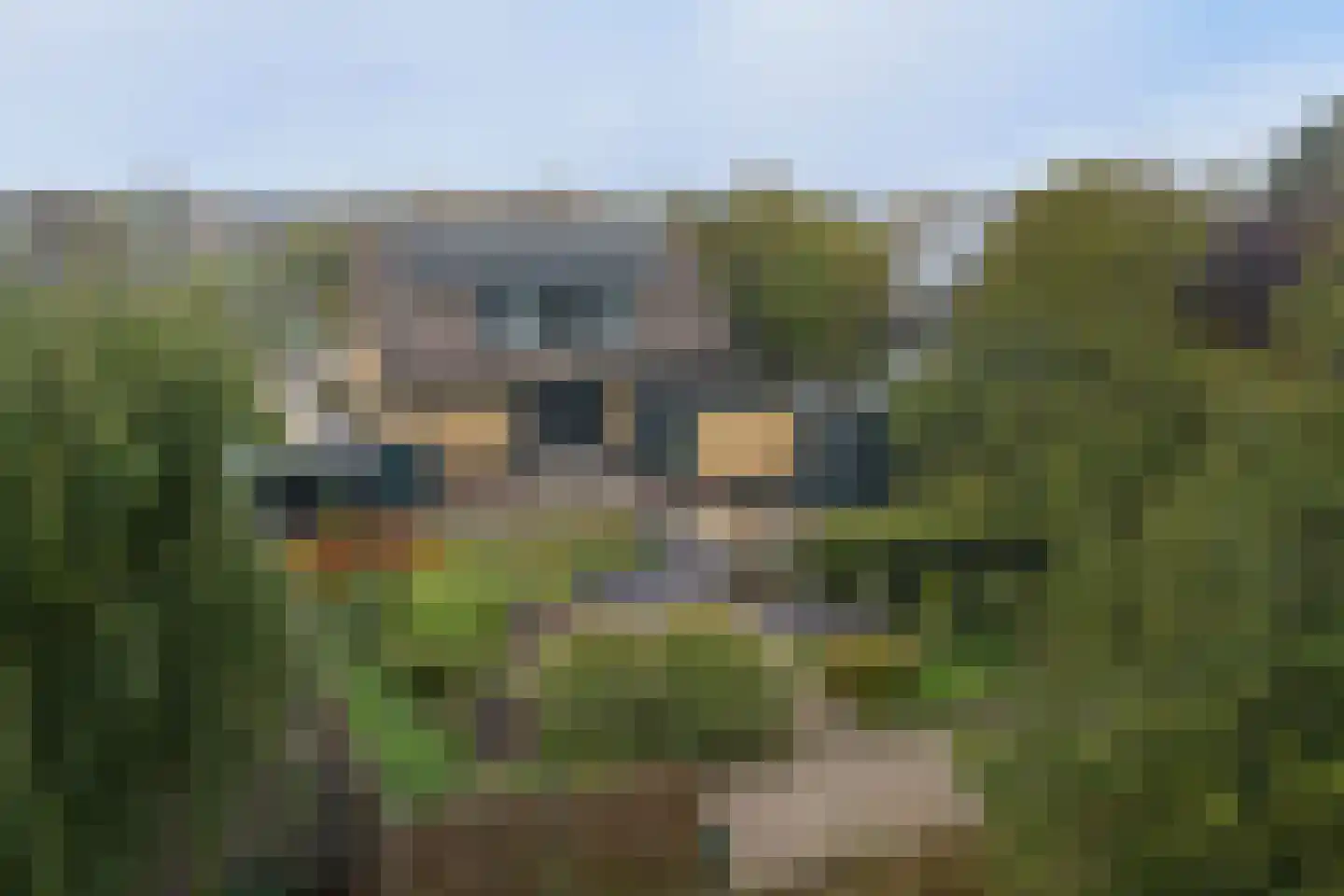 Marnehiem 36 Harlingen thumbnail 46