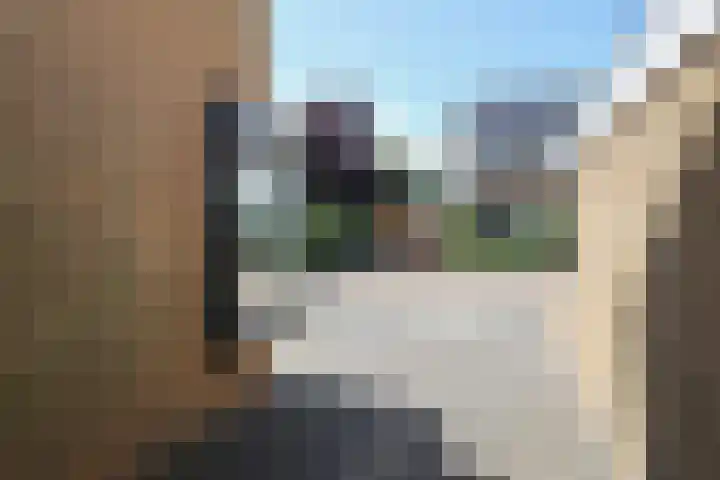 Marnehiem 37 Harlingen thumbnail 9
