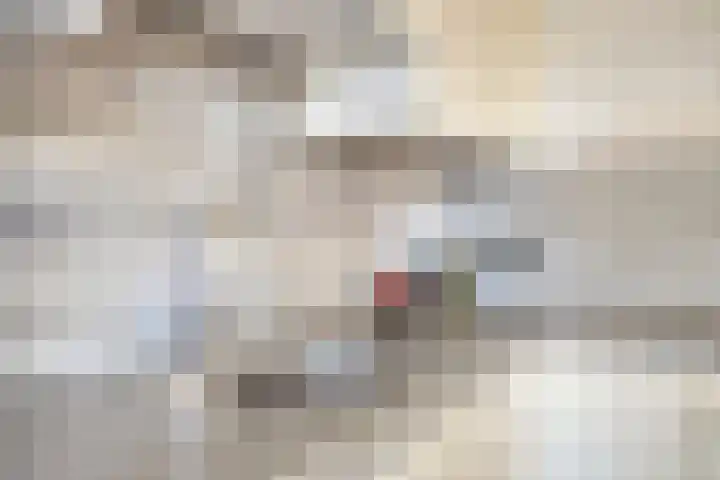 Marnelaan 10 Son en Breugel thumbnail 18