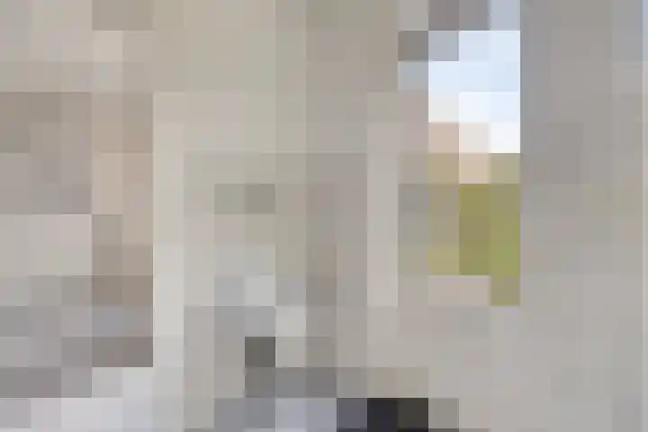 Marnelaan 10 Son en Breugel thumbnail 21