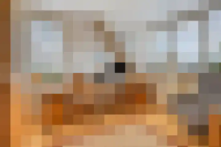 Marnelaan 10 Son en Breugel thumbnail 30