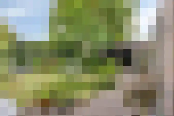 Marnelaan 10 Son en Breugel thumbnail 36