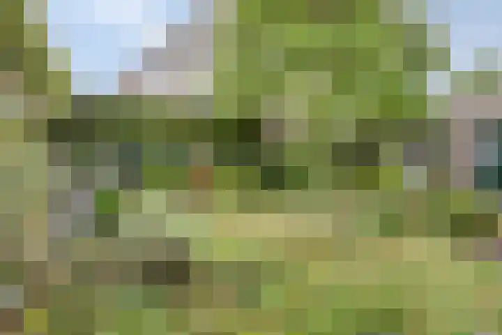 Marnelaan 10 Son en Breugel thumbnail 37