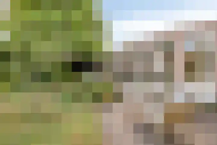 Marnelaan 10 Son en Breugel thumbnail 38