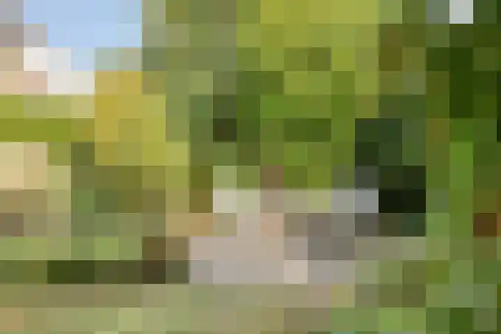 Marnelaan 10 Son en Breugel thumbnail 40