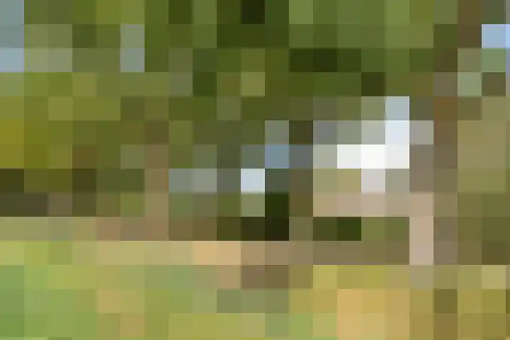 Marnelaan 10 Son en Breugel thumbnail 47