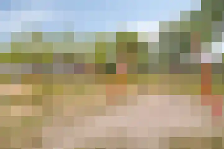 Marnelaan 10 Son en Breugel thumbnail 48