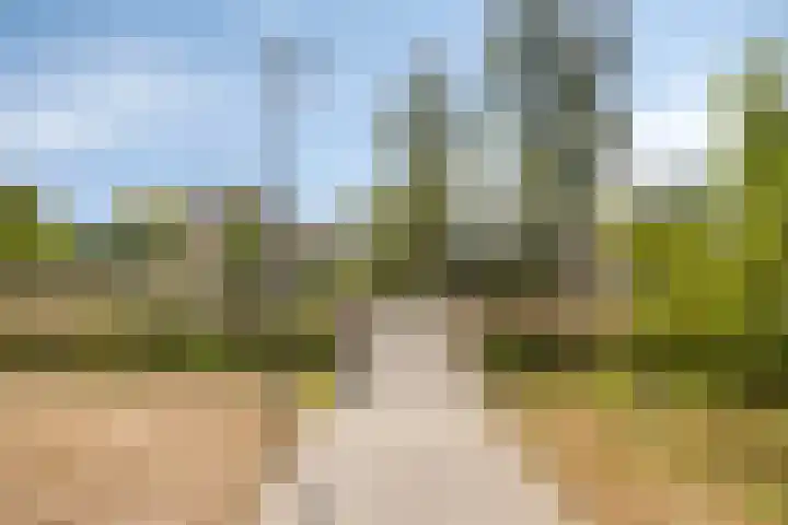 Marnelaan 10 Son en Breugel thumbnail 49
